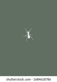 Diseño moderno y minimalista de vectores de una hormiga con fondo verde