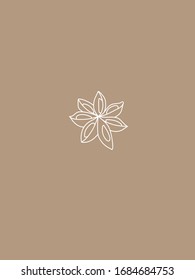 Modern and Minimalist Star Anise White Line Vector Art on Brown