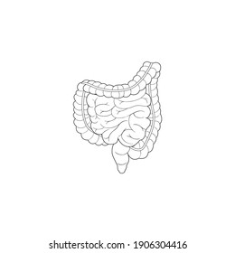 Modern Minimalistic Human Intestine Line Icon Vector. Simple Intestines outline sign for human anatomy or medical concept. Large Intestine and Small Intestine symbol isolated on white background.