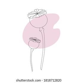 Ilustración vectorial minimalista moderna. Dos ramas de amapola sobre un fondo de forma rosada. Colores modificables. Líneas estéticas negras. estilo plano para tu diseño, paquete, afiche, decoración.