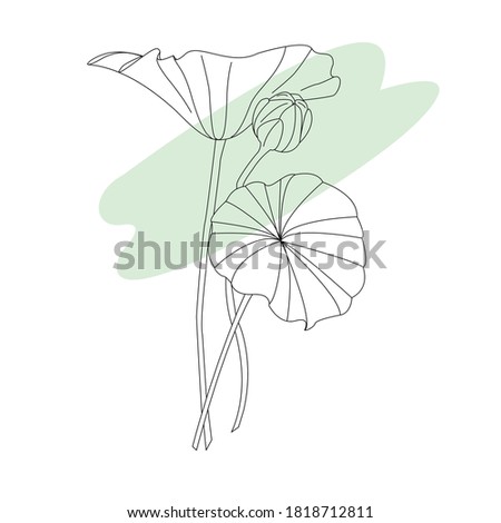 Modern minimalistic vector illustration. Three sprigs of lotus on a green background. Changeable colors. Black aesthetic lines. flat style for your design, package, poster, decoration.