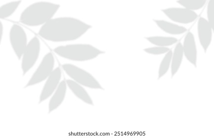 modern natural leaves shadow overlay isolated on white background
