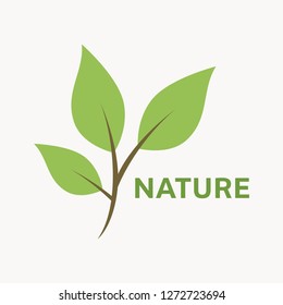 Modern nature logo template. Simple leaf green icon. 