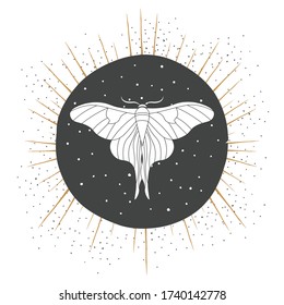 modern occult design, illsustration in vector format