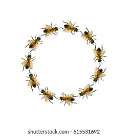 Modern origami illustration with a group of bee in a circle isolated on white background