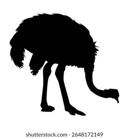 Modern Ostrich Bird Silhouette Vector Illustration, Scalable EPS File for Various Design Applications