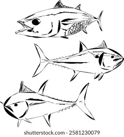 Modern outline bluefin tunas in action 