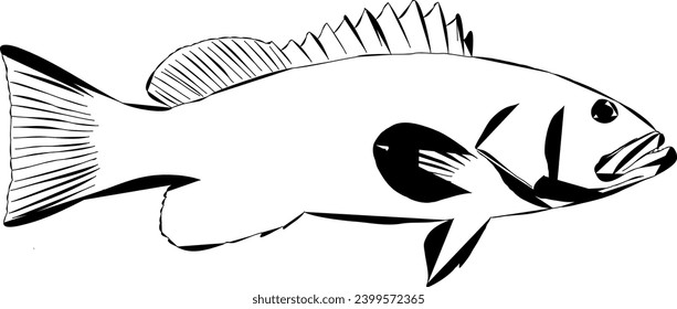 Modern Outline of A Rock Fish