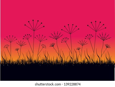 modern page layout design with natural motive, meadow with long grass and flowers in silhouettes with sunset