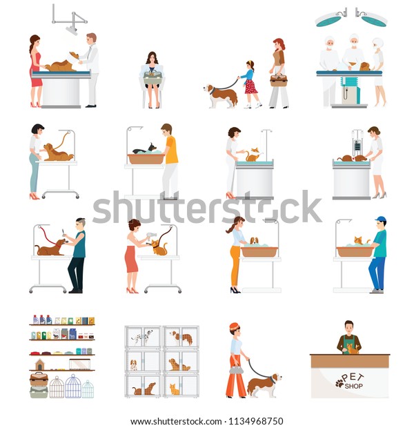 Modern Pet Shop Pet Clinic Customer Stock Vector Royalty Free 1134968750