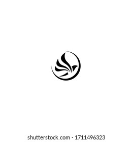 modern phoenix logo design vector