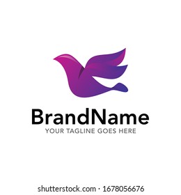 modern pigeon bird logo icon vector template with gradient color collection 