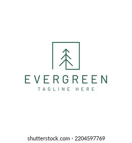 Modern Pine Tree Vector Logo Design