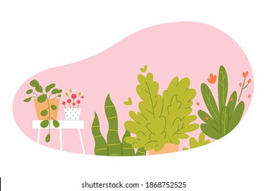Modern plants at home interior design background. Room at home for growing plants and flowers in pots. Empty cosy area with pink wallpaper vector illustration. Greenery at home.