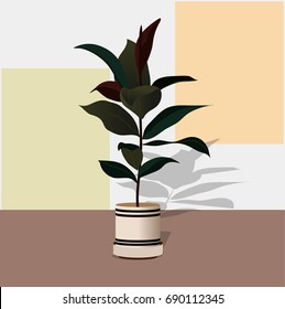 Modern plants in pots