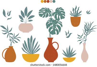 Modern plants in pots collection in trendy earthy hues