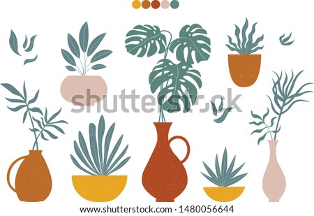 Modern plants in pots collection in trendy earthy hues