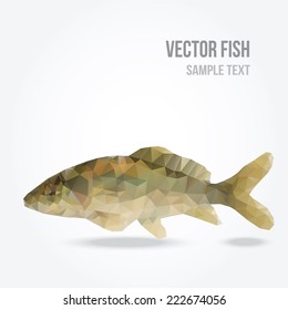 Modern polygon illustration of carp fish, vector triangle design 