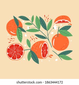 Modern poster with grapefruit. Botany art print. Modern design for paper, covers, cards, fabrics, interior items and other users. Vector illustration.