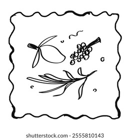 Modern poster placard or clip art with vitamins. doodle card illustration with lemon, grape, rosemary, childlike naive vector art style