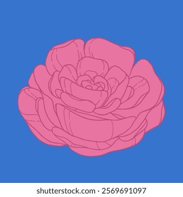 modern poster with a rose. an illustration in the style of a sketch with a large rose