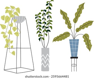 Modern Potted House Plants Flat Vector Illustration