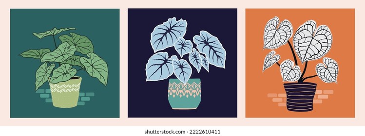 Modern potted tropical houseplant collage set. Different colorful home decor vases vector collection. Hand drawn organic style illustration for art, poster, decoration or contemporary design.