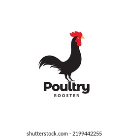 diseño moderno del logotipo de los gallos de aves de corral