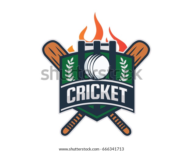 Modern Professional Isolated Sports Badge Logo -\
Flaming Cricket Team