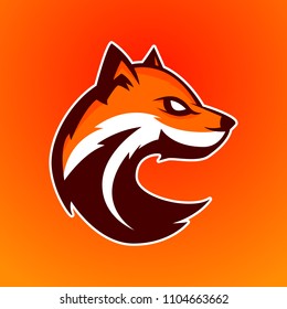 Modern professional logo for sport team. Fox mascot. Fox vector symbol on a redish background.