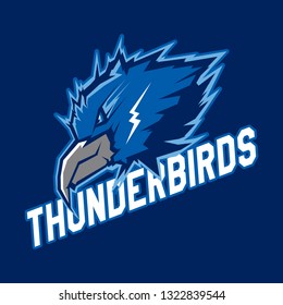 Modern professional logo for sport team. Thunder bird mascot. Thunderbirds, vector symbol on a dark background. svg