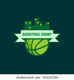 Modern professional vector logo for a basketball team. Vector Illustration. Flat Style Design