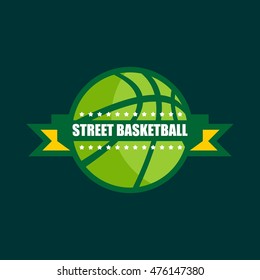 Modern professional vector logo for a basketball team. Vector Illustration. Flat Style Design