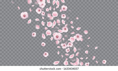 Modern Realistic Pattern. Pink on Transparent. Realistic Flying Petals For Banner Design. Modern Closeup For Concept Design.