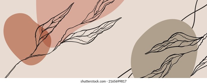 Modern rectangular background with abstract spots, plant branch and lines with place for text, advertising, promotions, congratulations, invitations. Calm beige and brown colors. Vector illustration.