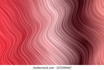 Modern red wavy stripes background with blurry gradient, vector template