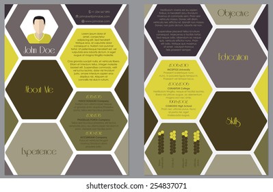 Modern resume design with hexagon theme and cool design