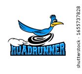 Modern roadrunner bird logo. Vector illustration.