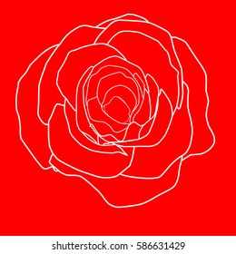 modern rose line vector