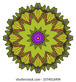 Modern round lace pattern for paisley , circle background with floral style. vector illustration. purple color.