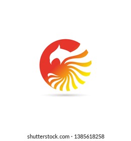 Modern Rounded Color Birds Logo Template