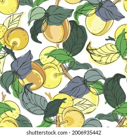 Modern seamless stylized design vector pattern with peaches and apricots on white background. Can be used for printing on paper, packaging, decorations, cards, textiles, wrapping paper. 