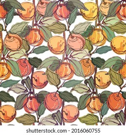 Modern seamless stylized design vector pattern with peaches and apricots on white background. Can be used for printing on paper, packaging, decorations, cards, textiles, wrapping paper. 