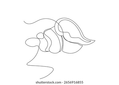 Arte de linha mínima de concha moderna em um desenho contínuo e estilo de ilustração vetorial isolado