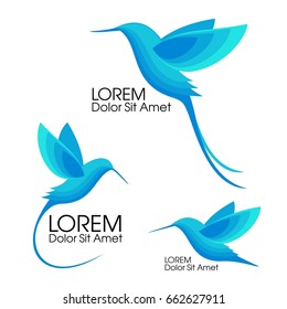 Modern Set . Blue Bird, Colibri in flight, trendy minimalistic template design for logos, emblems, symbols.