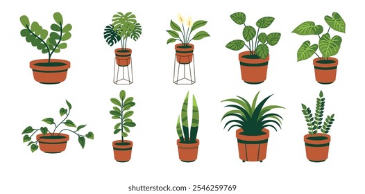 Un conjunto moderno de ilustraciones de plantas de interior que muestran una variedad de hojas verdes y suculentas en macetas con estilo, ideal para la decoración del hogar y temas de jardinería.