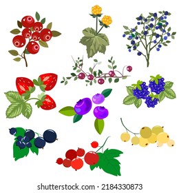 A modern set of various berries, a colorful image of elements for postcards, posters, minimalistic design, vector illustration