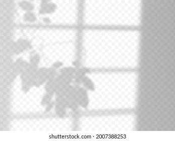 Modern shadow overlay, great design for any purposes.blurred soft shadow from the window and branches of plants outside the window. Natural shadows isolated on transparent background.