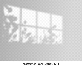 Modern shadow overlay, great design for any purposes.blurred soft shadow from the window and branches of plants outside the window. Natural shadows isolated on transparent background.