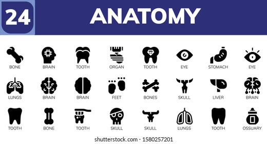 Modern Simple Set of anatomy Vector filled Icons. Contains such as Bone, Brain, Tooth, Organ, Eye, Stomach, Lungs, Feet, Bones and more Fully Editable and Pixel Perfect icons.